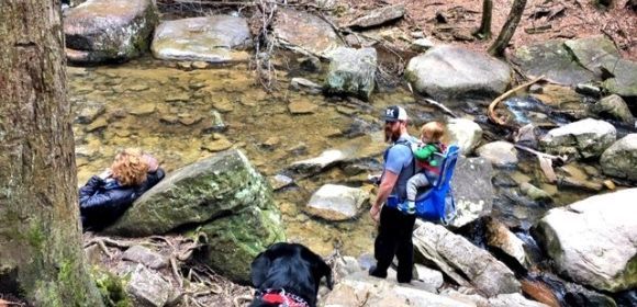 A group of people are standing on rocks next to a stream in the woods.