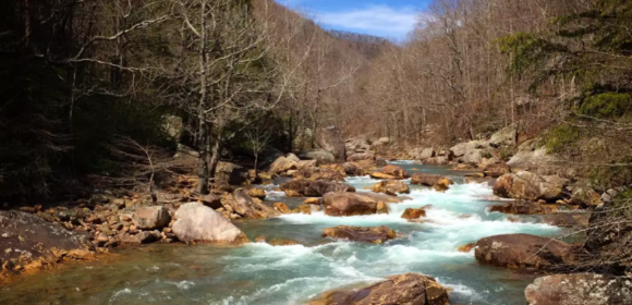 A river flowing through a lush green forest surrounded by rocks and trees.