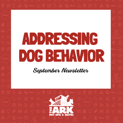 A red and white sign that says addressing dog behavior