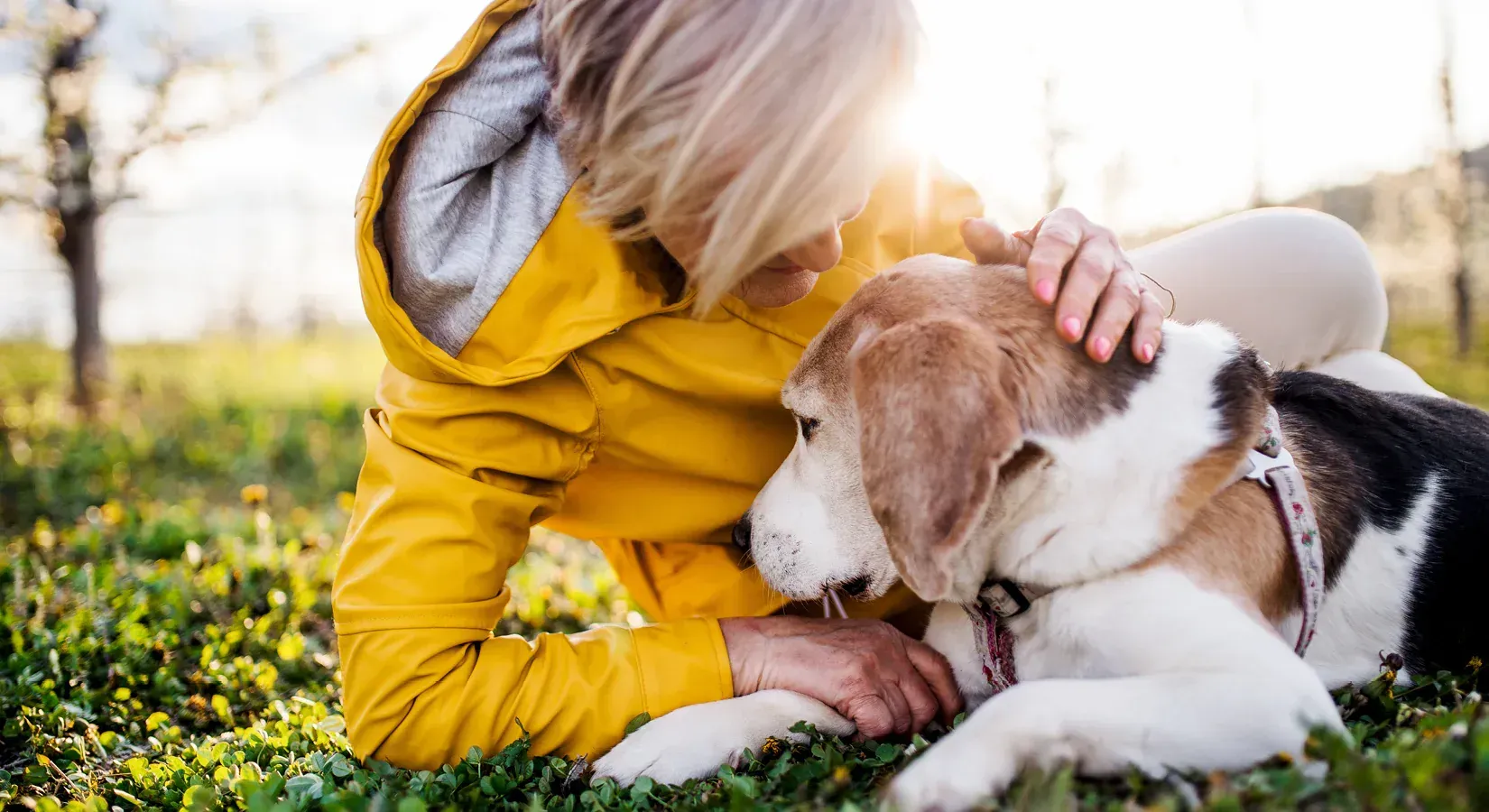 A woman is petting a beagle dog while laying in the grass.
