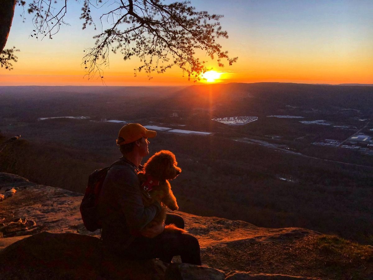 A man sitting on a rock with a dog looking at the sunset