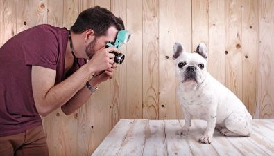 A man is taking a picture of a french bulldog on a wooden table.
