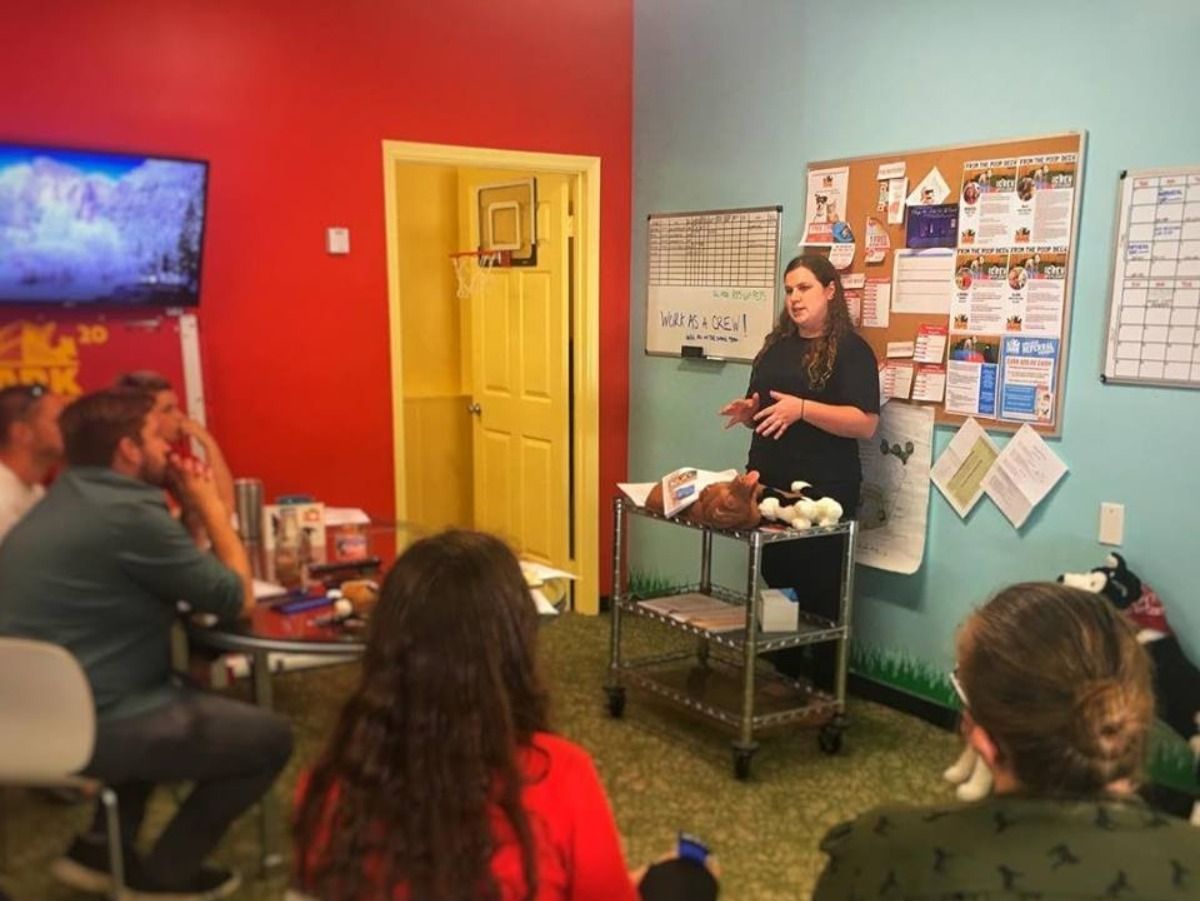 A woman is giving a presentation to a group of people in a room.
