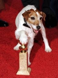 A dog is standing next to a golden globes trophy on a red carpet.
