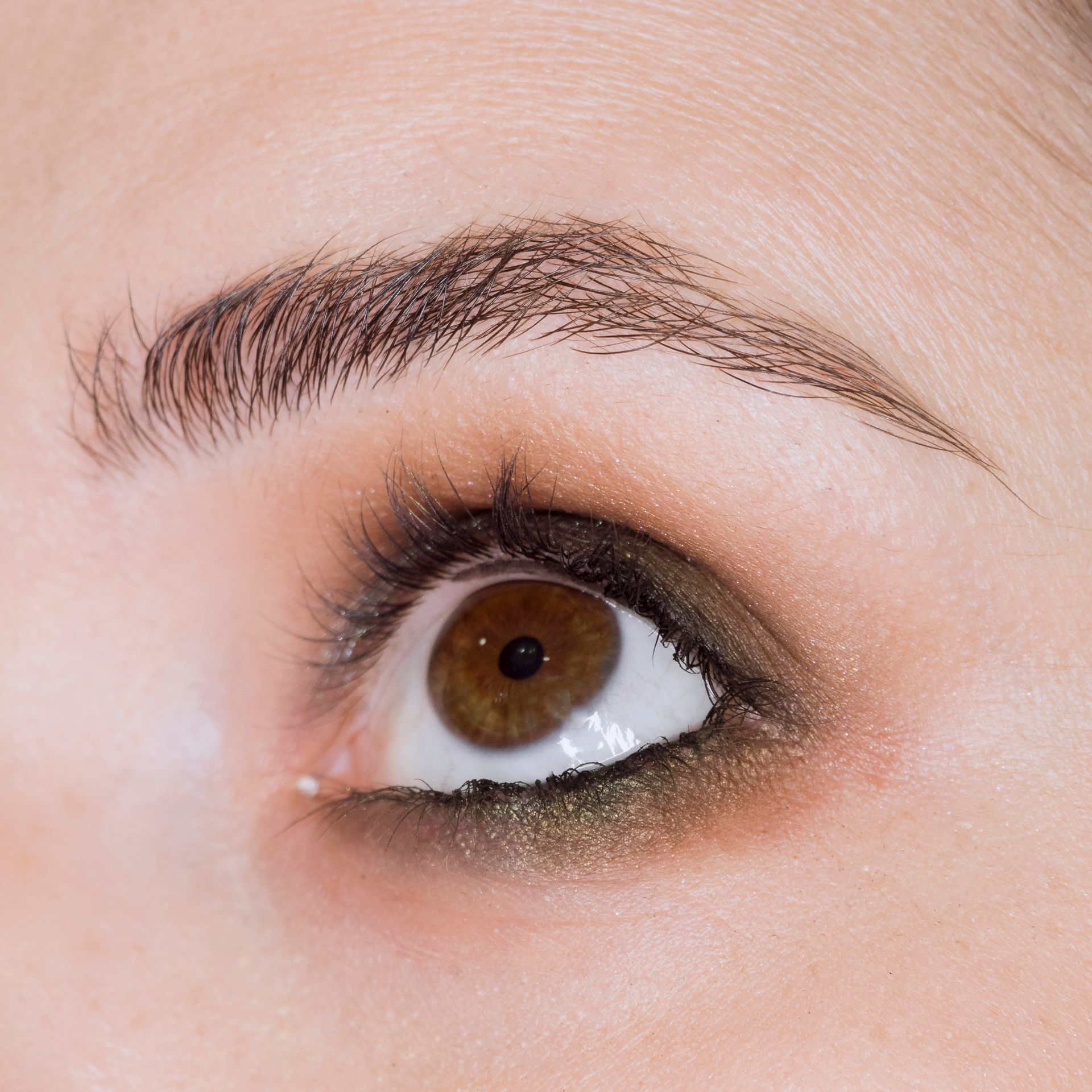 Close-up of an eye with smoky olive green eyeshadow, brown iris, and groomed eyebrow.