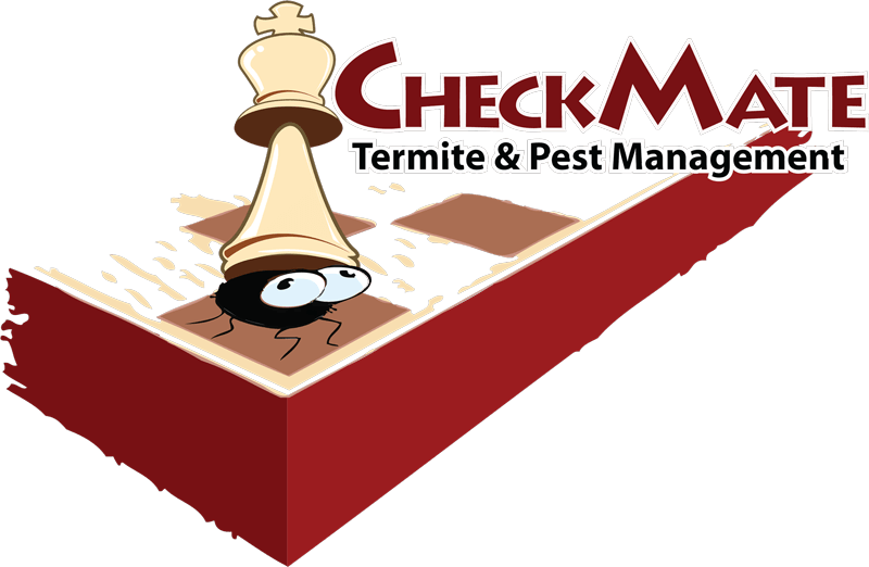 Checkmate Logo - Logo Is Us