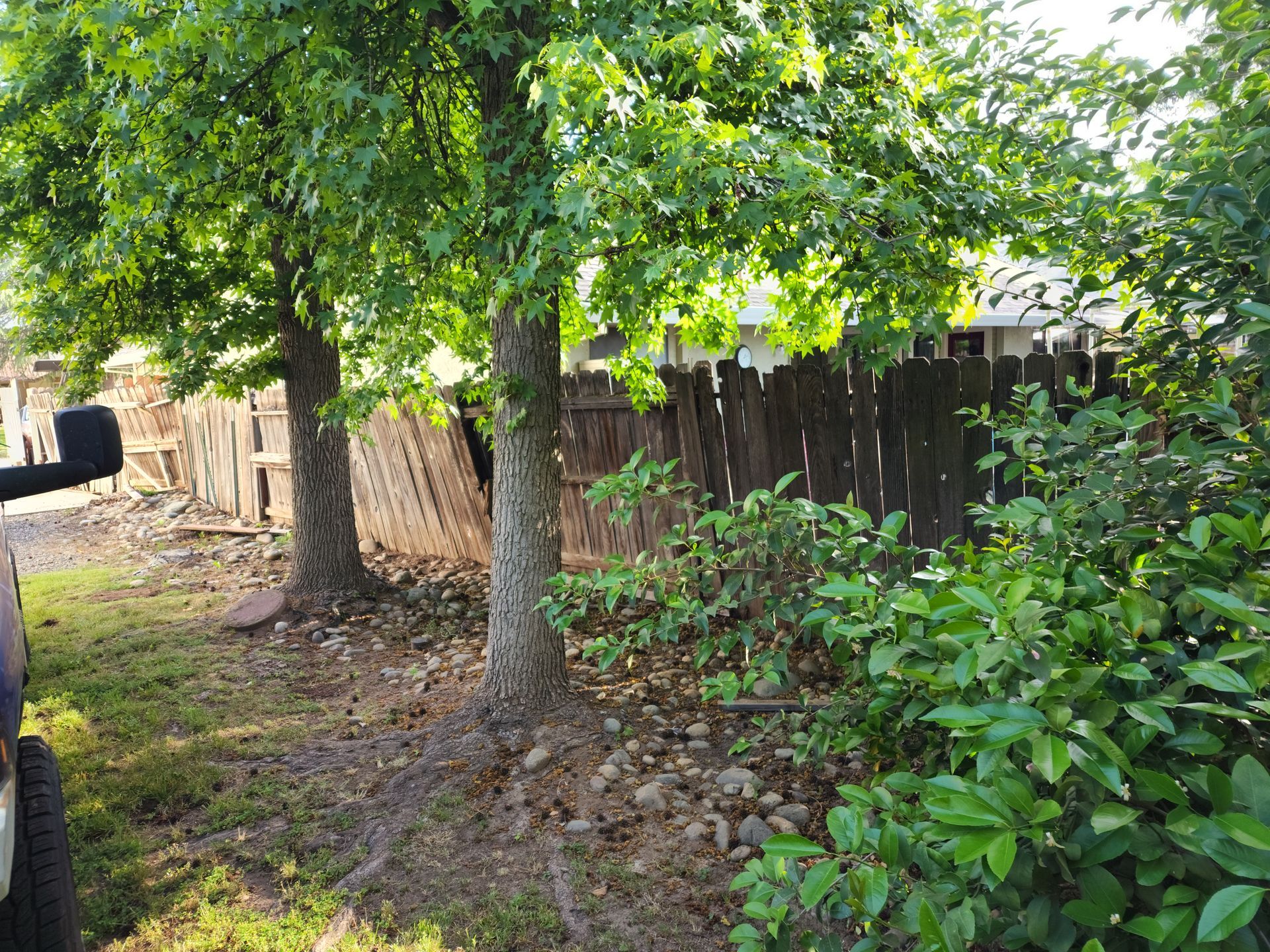 A truck is parked in front of a wooden fence surrounded by trees and bushes.