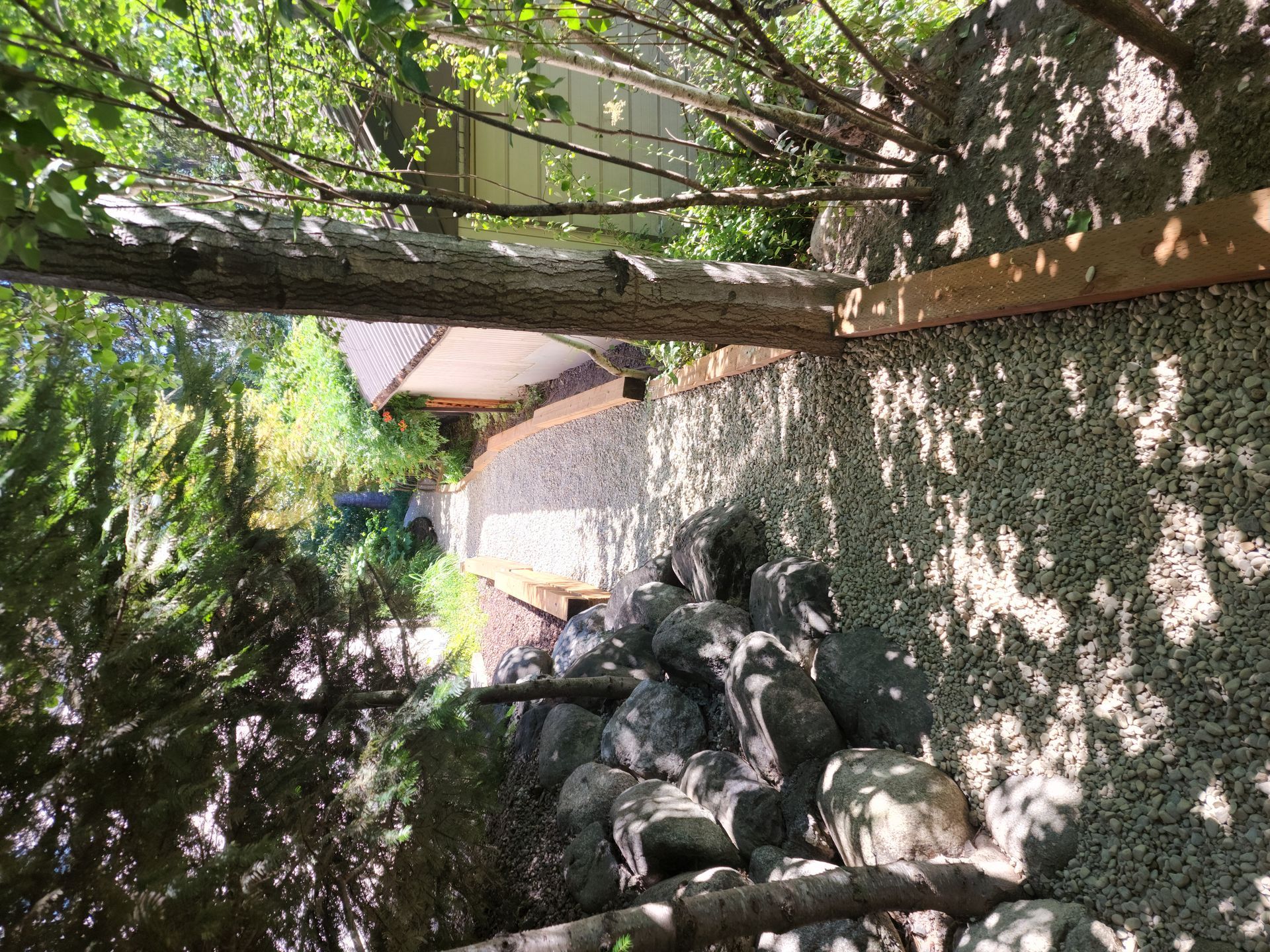 A tree branch is hanging over a pile of gravel.
