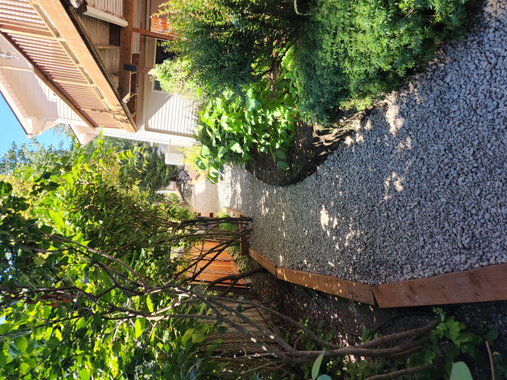 A gravel path leading to a house surrounded by trees and bushes.