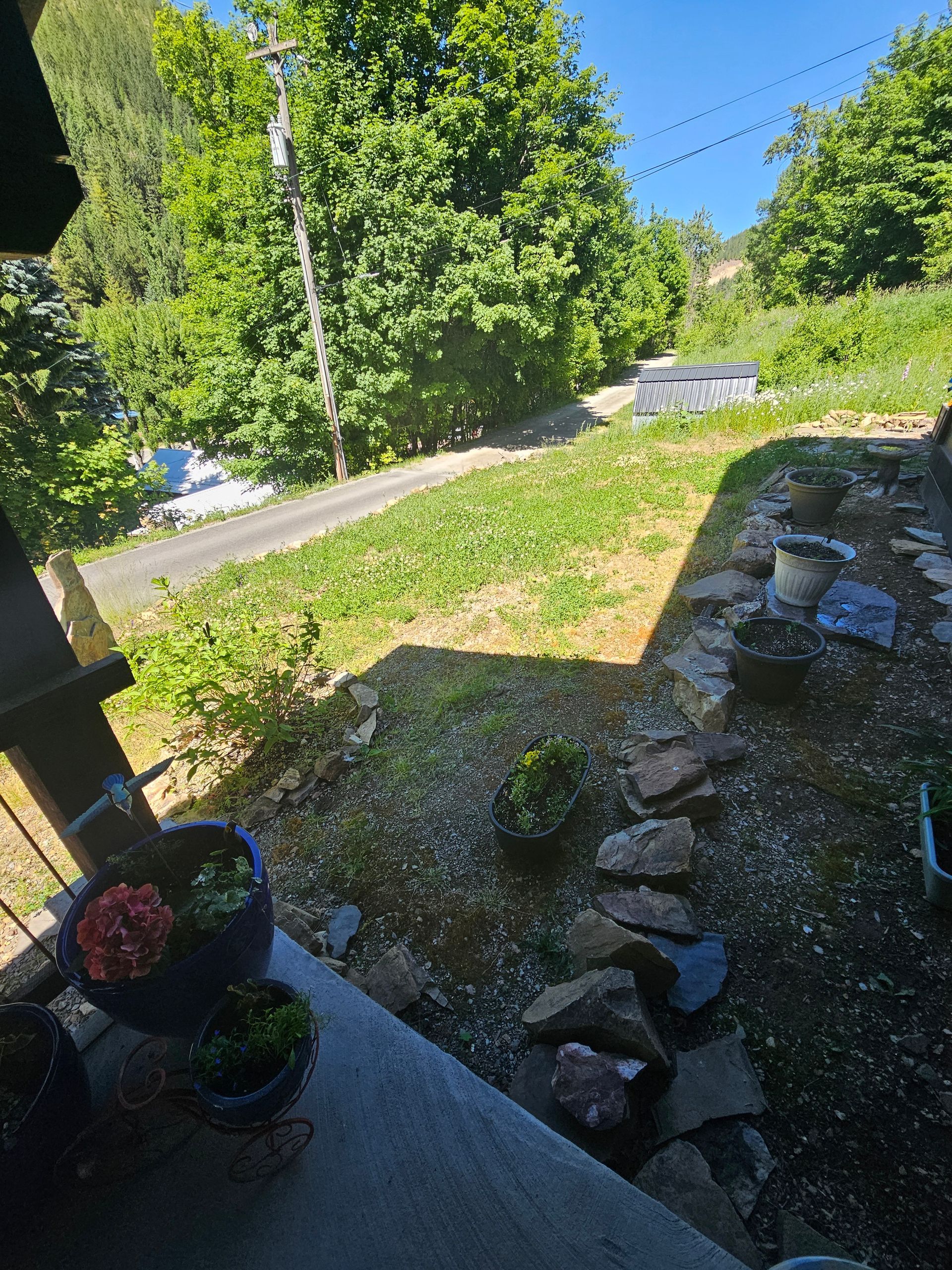 A patio with a lot of potted plants and trees in the background.