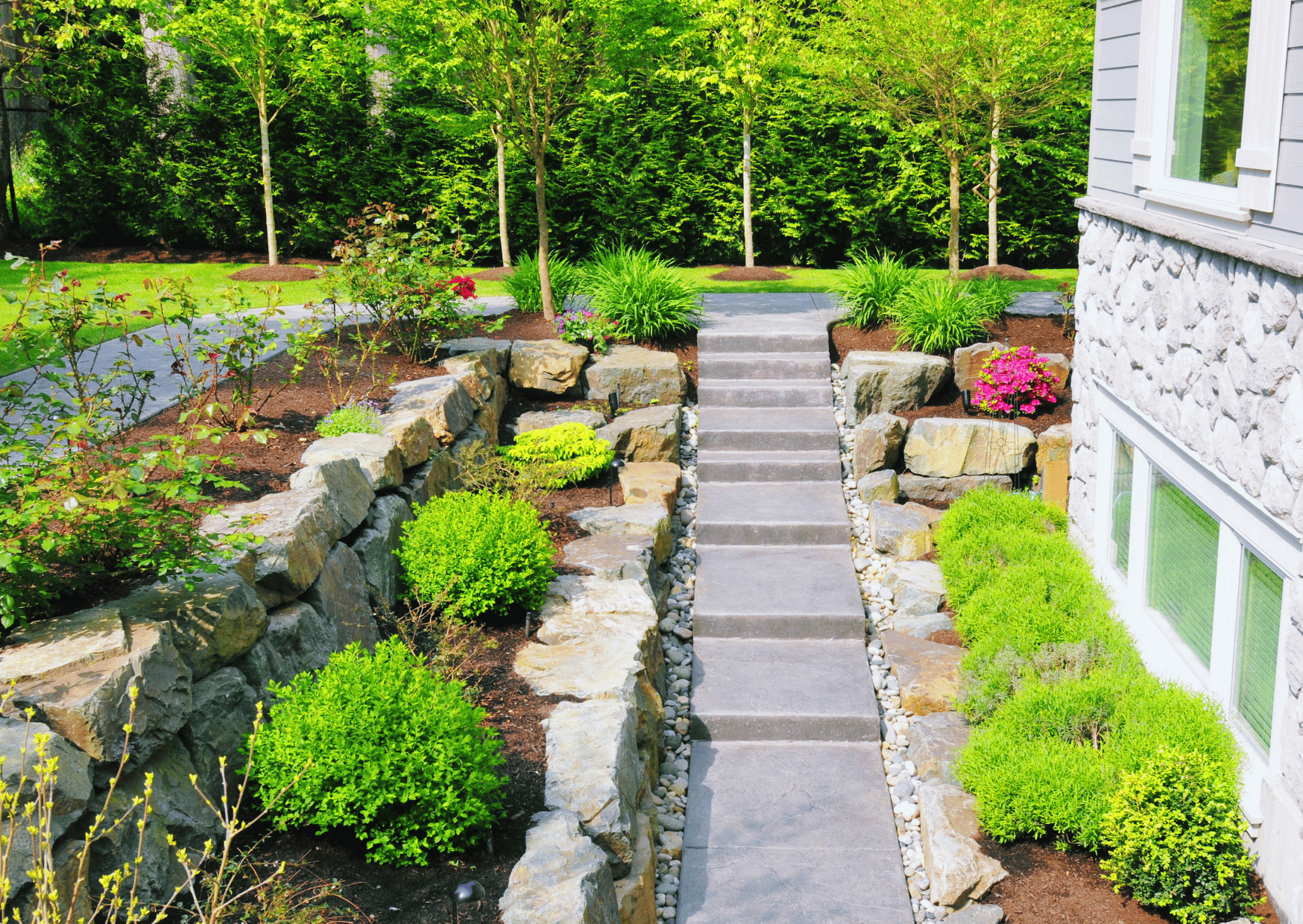 A stone walkway leading to a house surrounded by trees and bushes