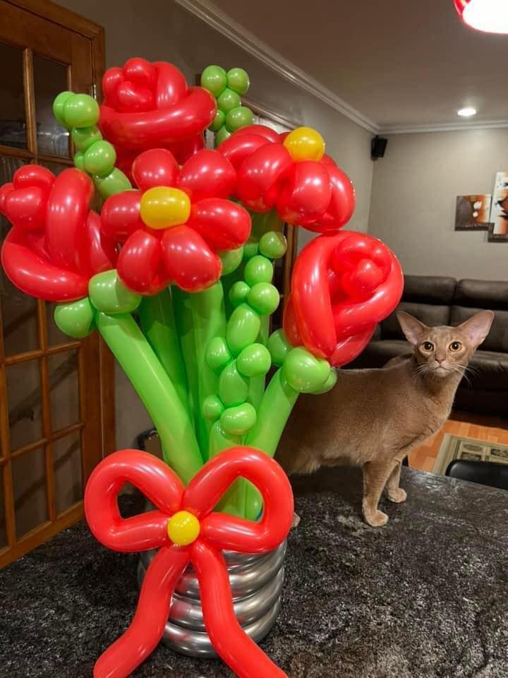 A cat is standing next to a vase filled with red and green balloons.