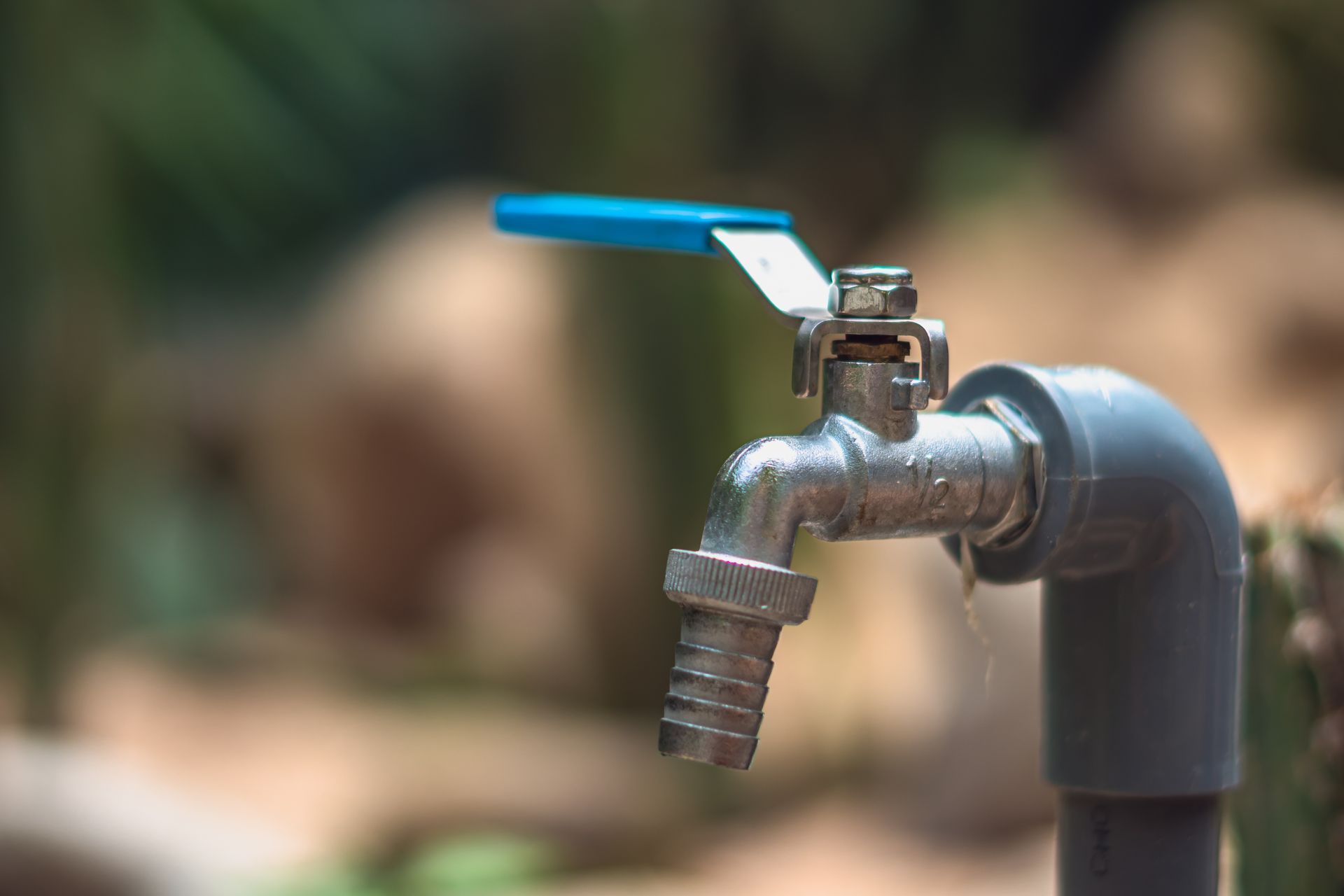 Blue-handled outdoor faucet with water dripping, against a blurred garden background
