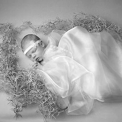 newborn baby in black and white, Oakley Studios celebration photoshoot in Luton Bedfordshire