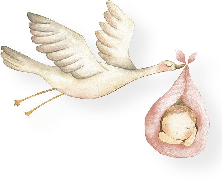 A stork is carrying a baby in a pink blanket