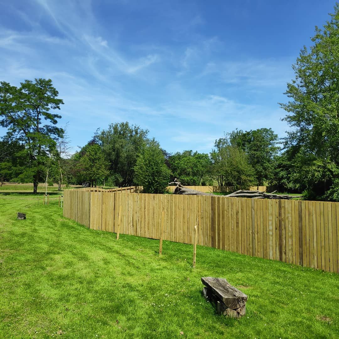 Wooden fence encloses a grassy area with a weathered wooden bench; trees and blue sky in the background.