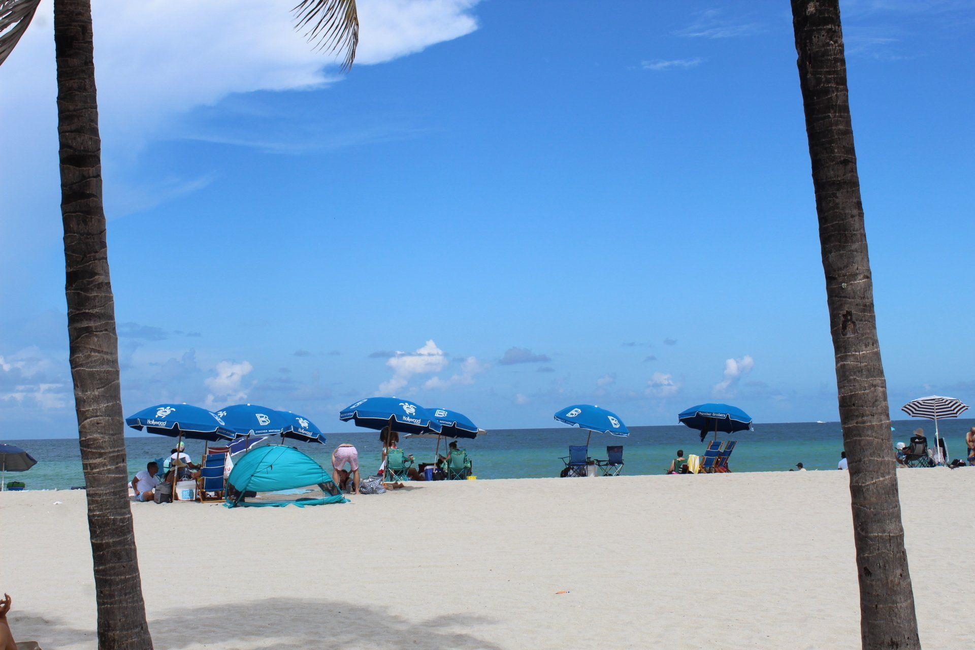 A beach with palm trees and blue umbrellas