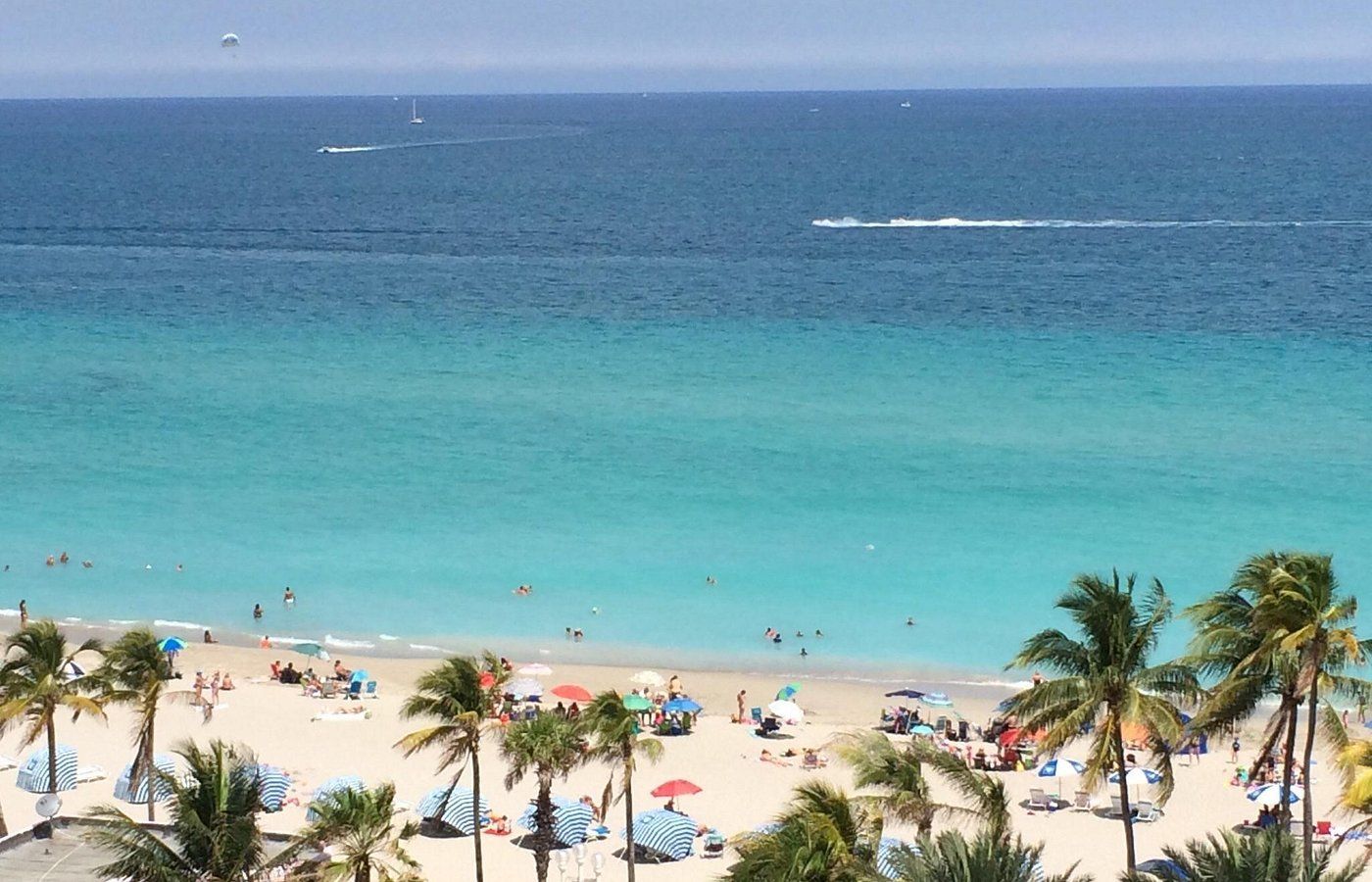 An aerial view of a beach with palm trees and umbrellas