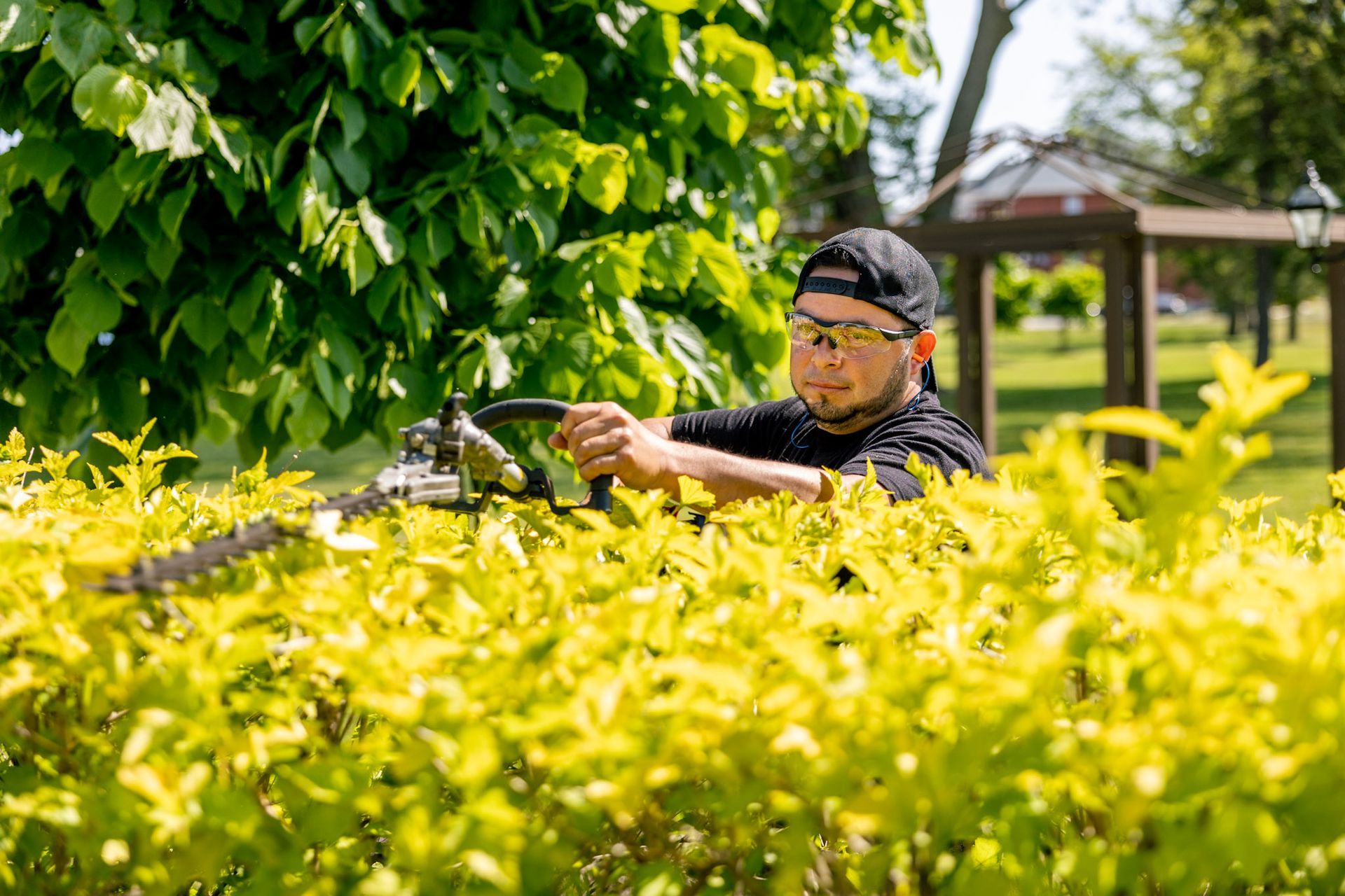 Un homme coupe une haie avec un taille-haie dans un parc.