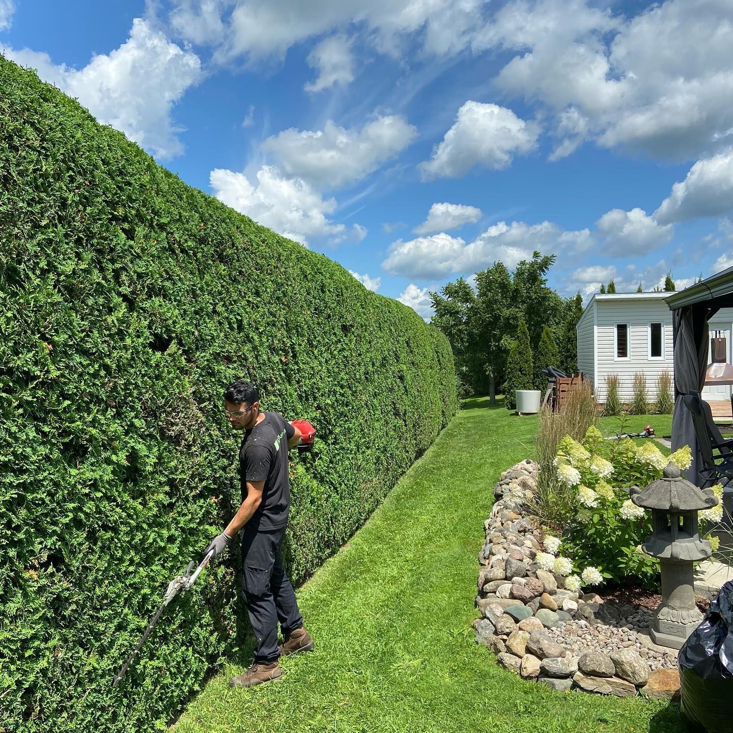 Un homme taille une haie avec un taille-haie dans une cour arrière.