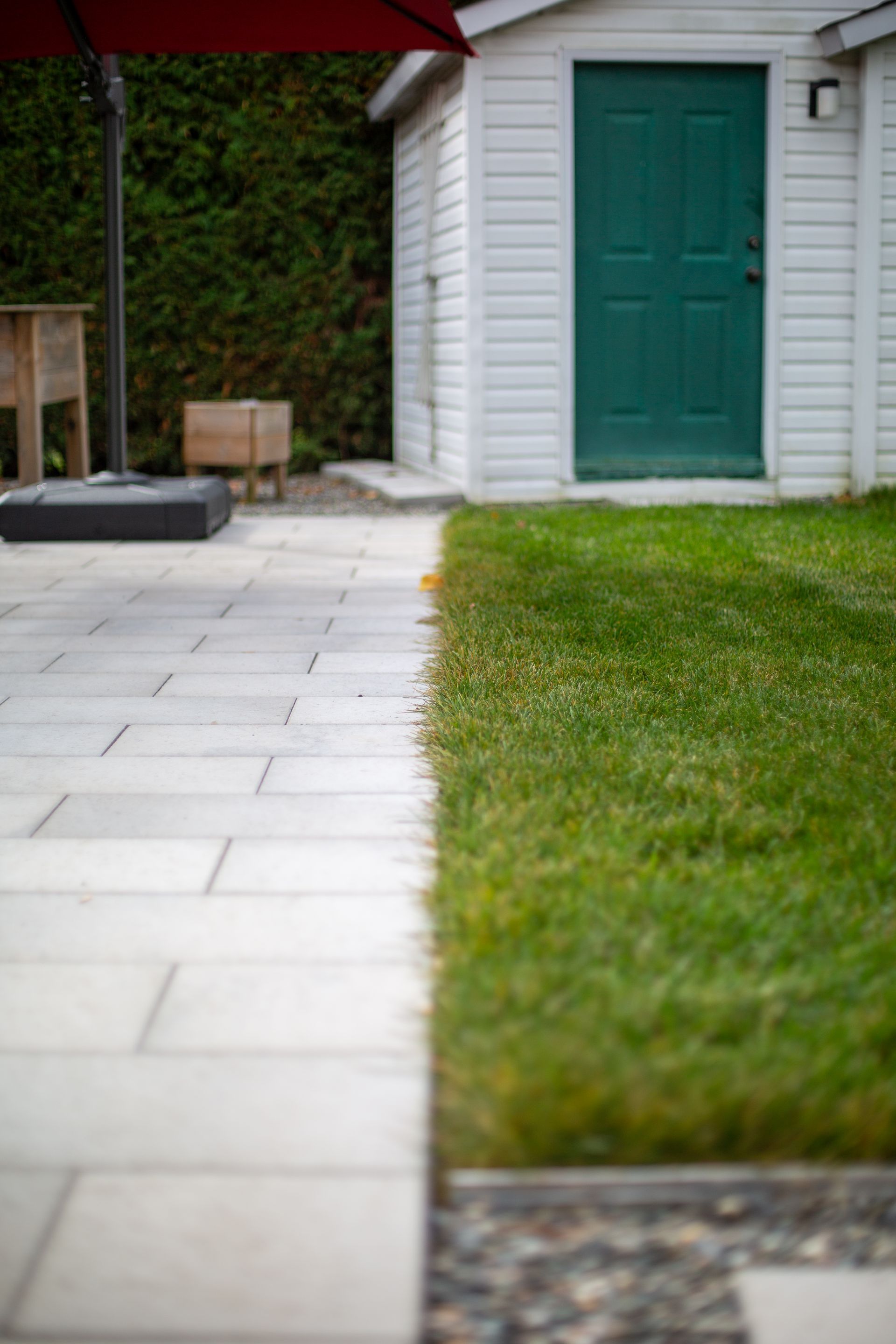 Un patio avec une porte verte et un cabanon en arrière-plan.