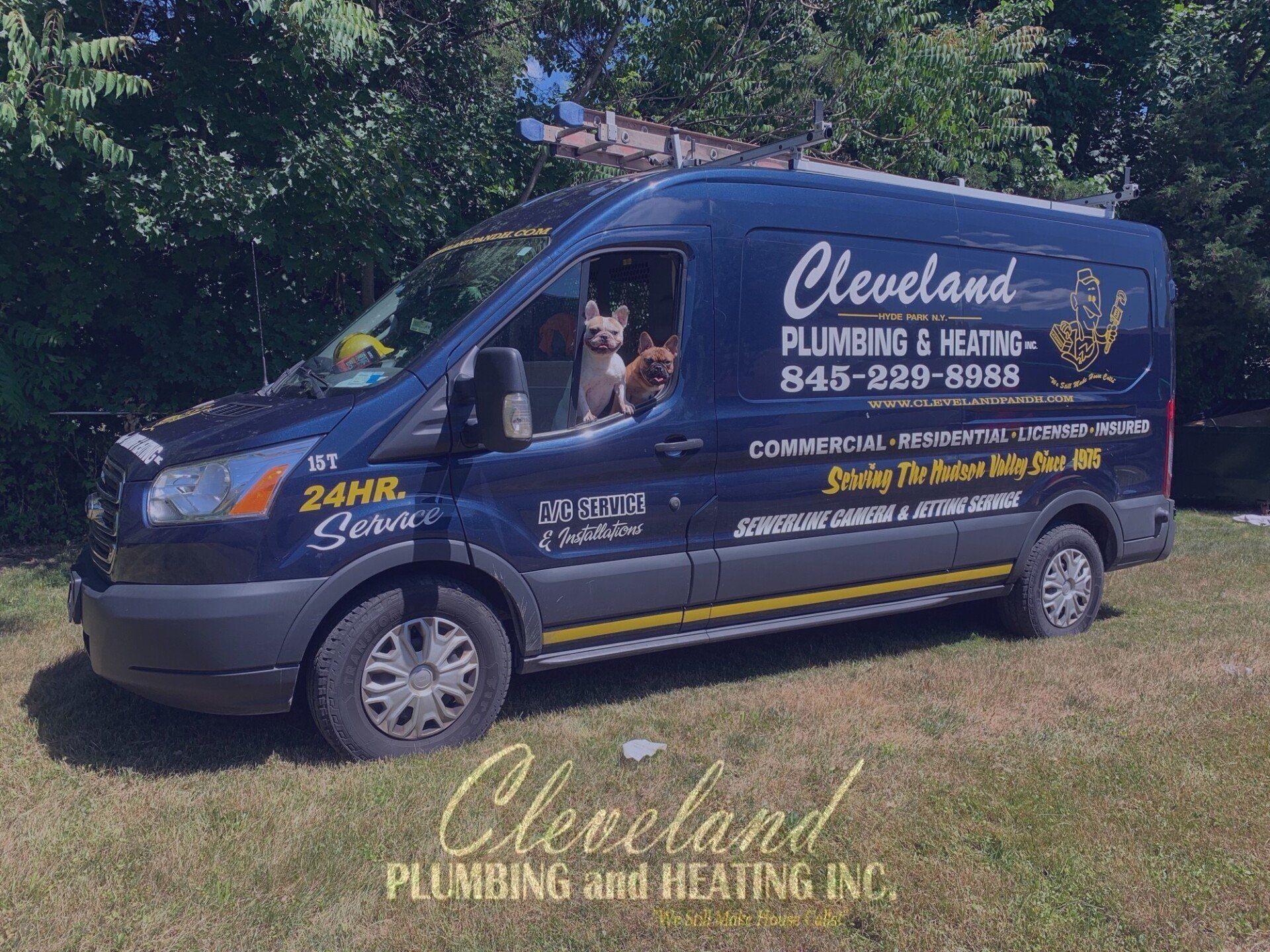 Blue Truck with Dogs — Hyde Park, NY — Cleveland Plumbing & Heating Inc.