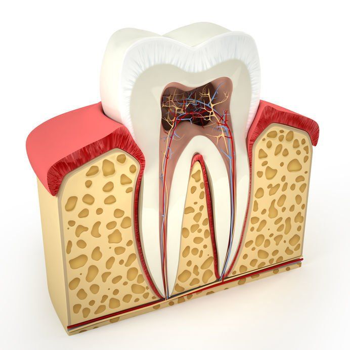 perion dental health
