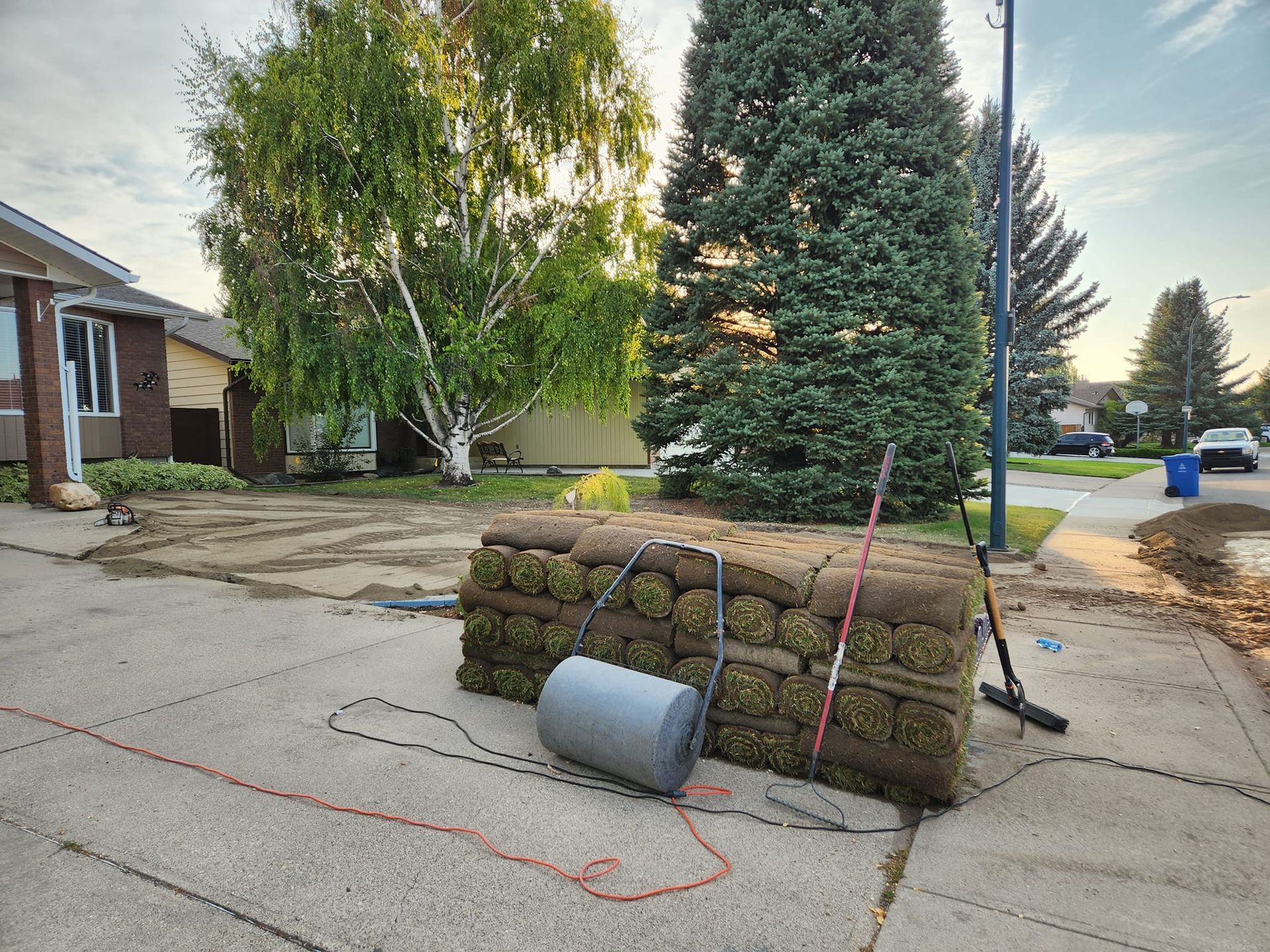 A pallet of rolled sod.