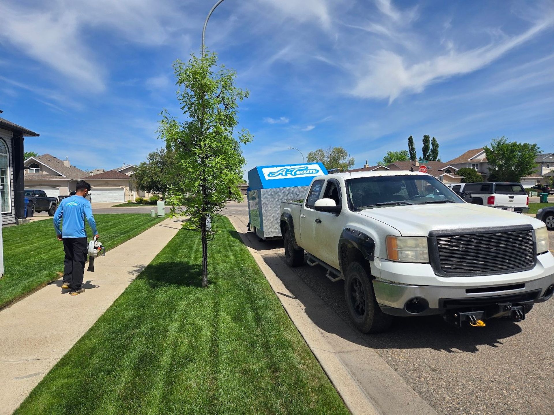 A person walks a dog on a suburban sidewalk next to a white pickup truck towing a blue and white utility trailer.