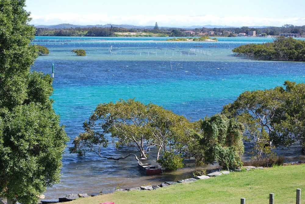 A View Of A Large Body Of Water With Trees In The Foreground — Triple S Scaffolding In Forster, NSW