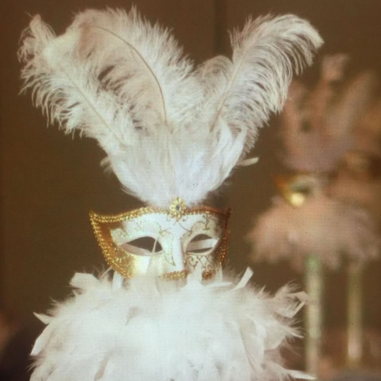 Masquerade mask with white feathers, gold trim, and white feathery neckpiece.