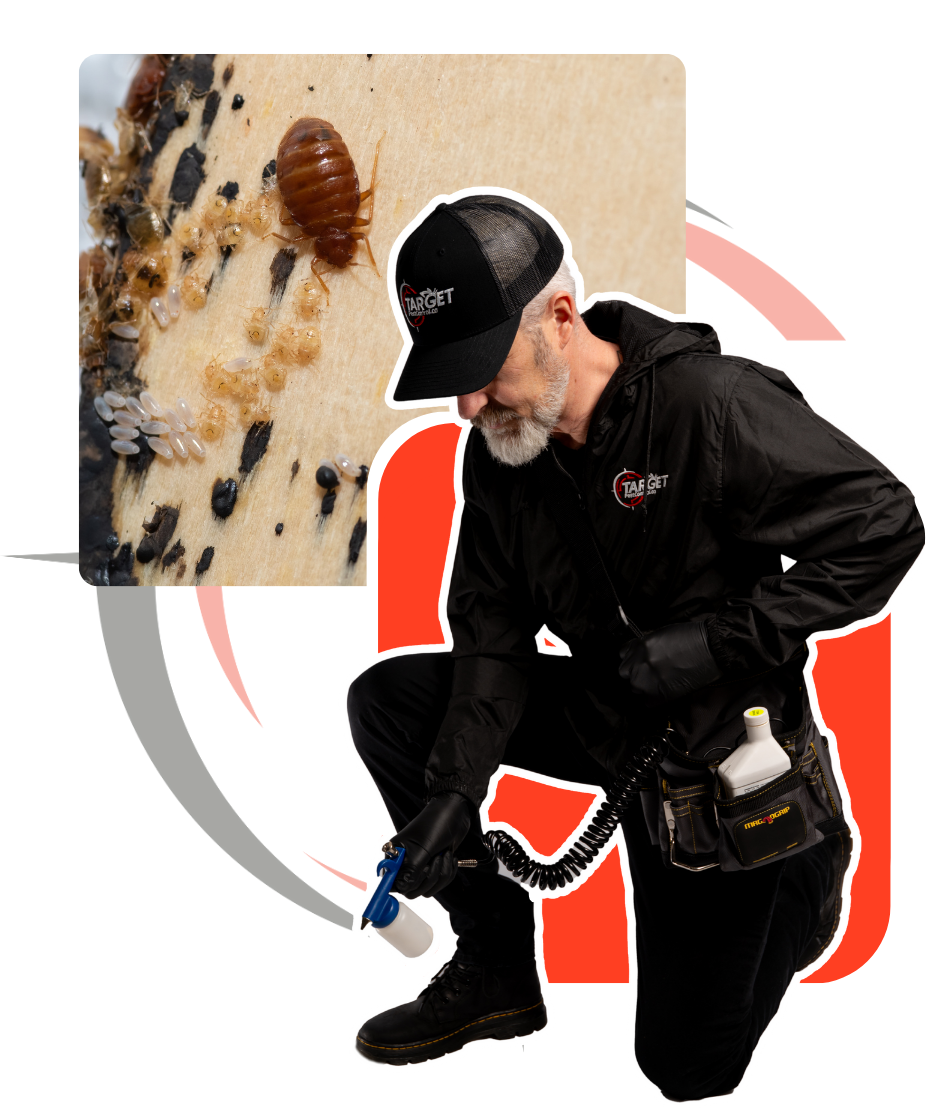 A man kneeling down with a spray bottle next to a picture of bedbugs on a wall