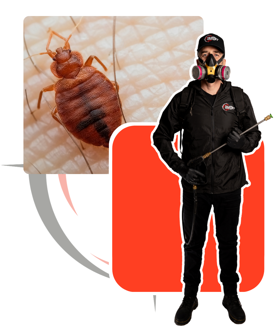 A man wearing a gas mask is spraying a bed bug