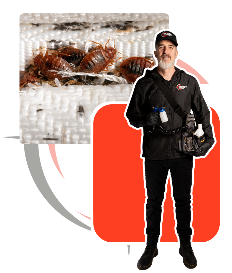 A man is standing in front of a picture of bedbugs on a mattress holding a sprayer to treat them