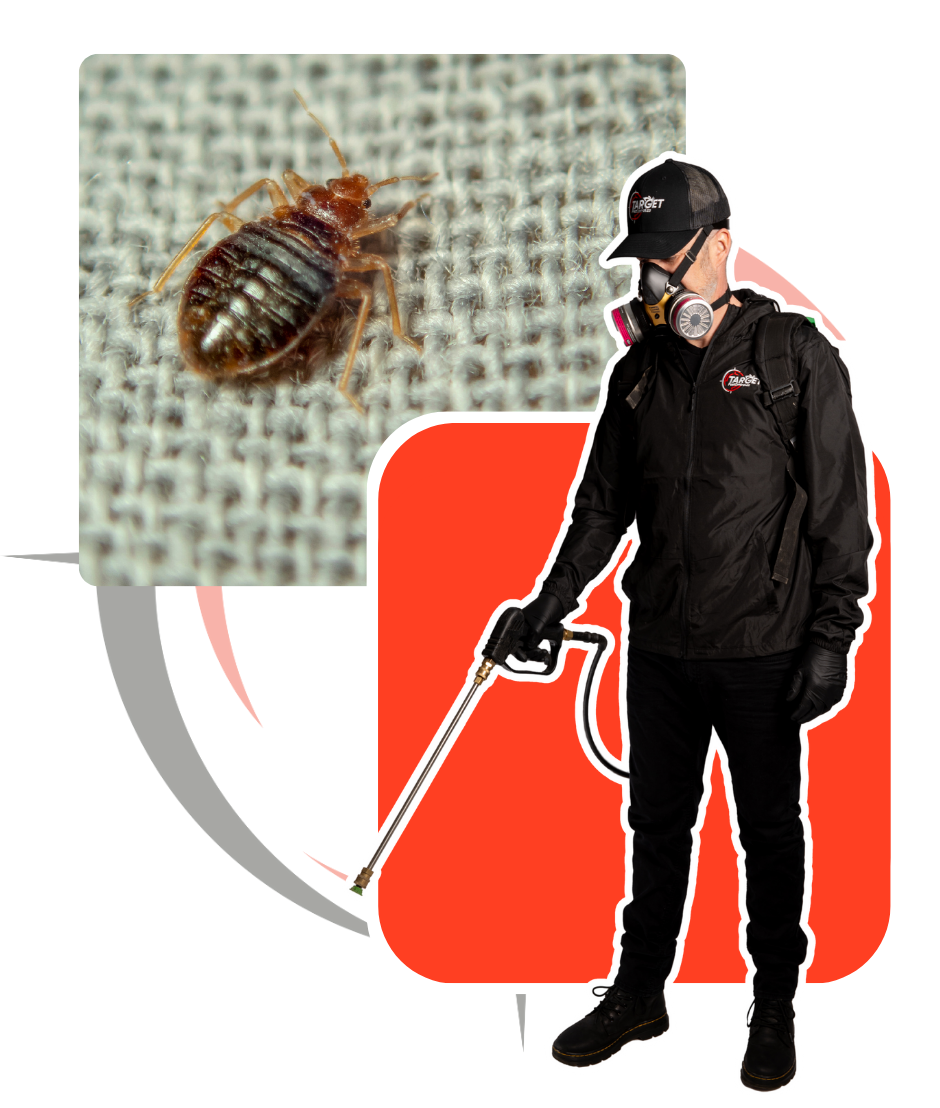 A man is spraying a bed bug with a backpack sprayer