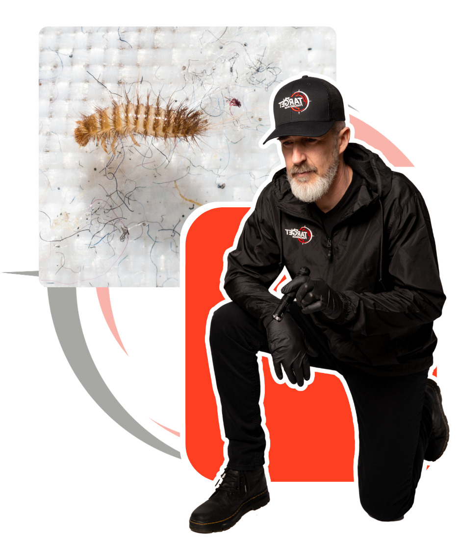 A man is kneeling down next to a picture of a bug larva.