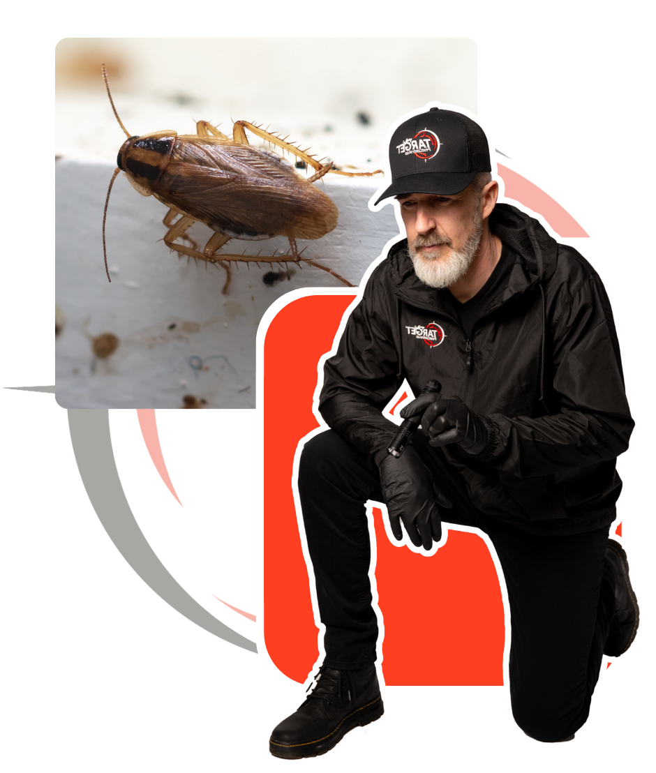 A man kneeling next to a picture of a cockroach