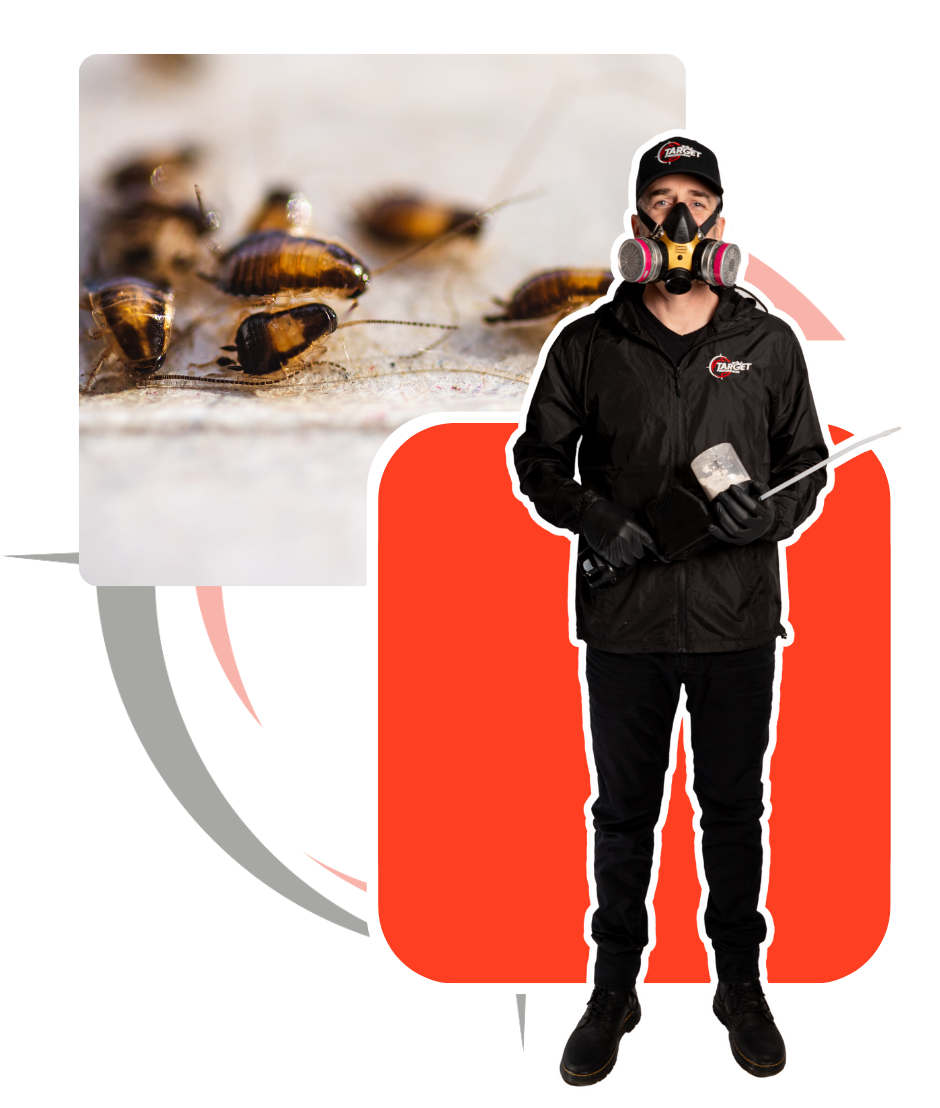 A man wearing a gas mask is standing in front of a bunch of cockroaches