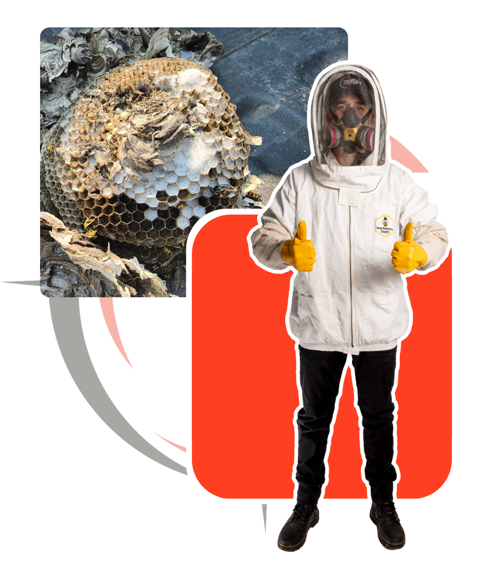 A man in a bee suit is giving a thumbs up