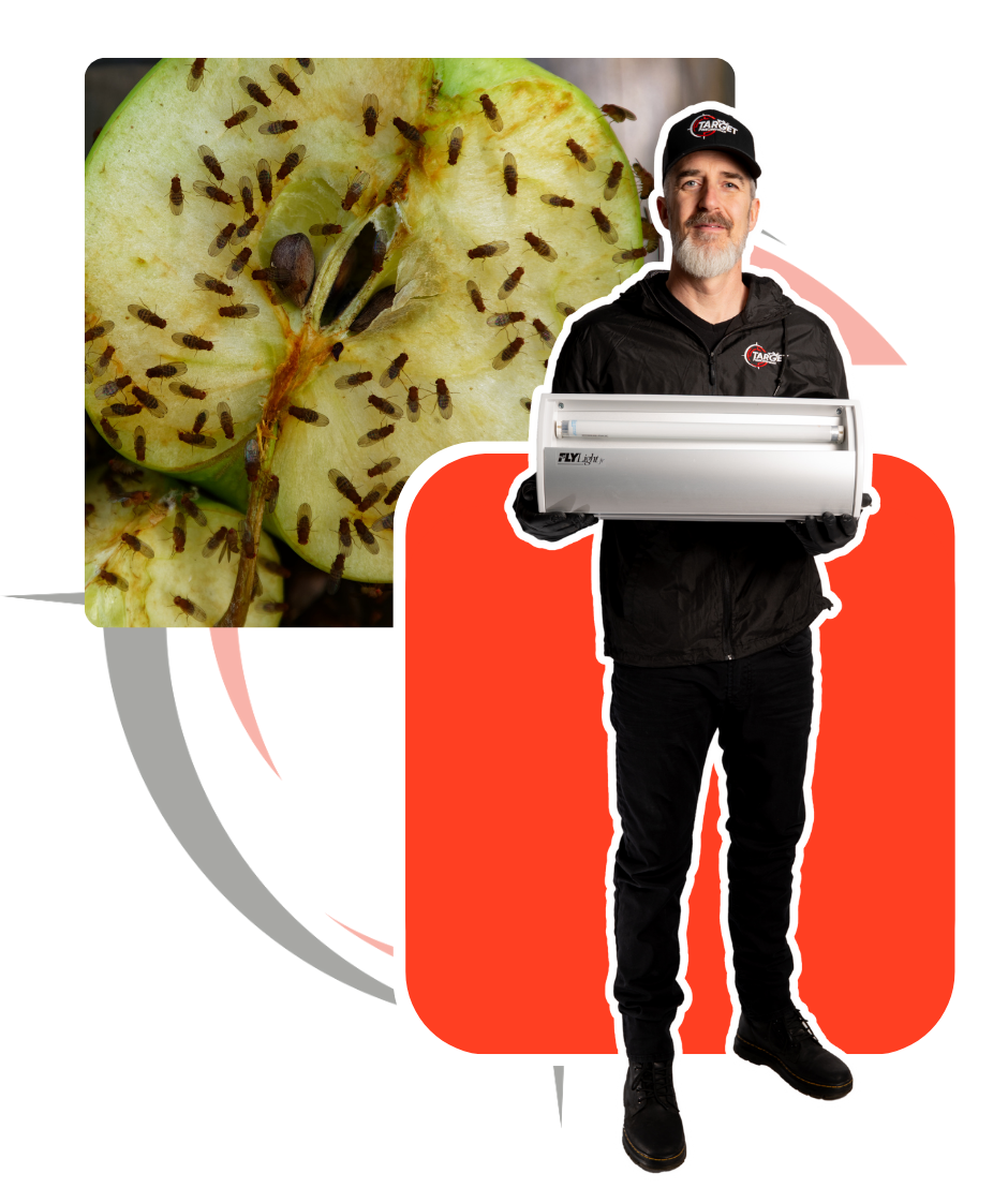 A man holding a device next to a picture of a sliced apple with flies on it