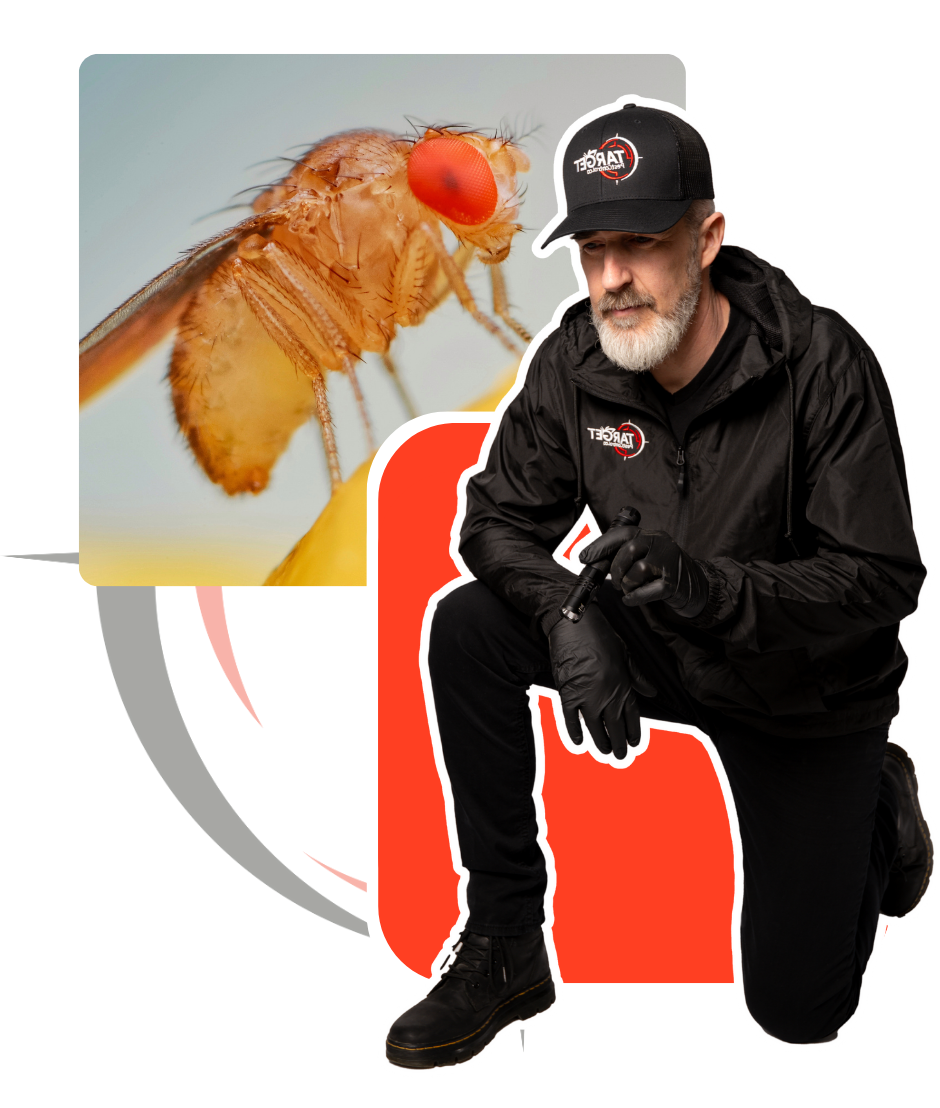 A man is kneeling in front of a picture of a fly
