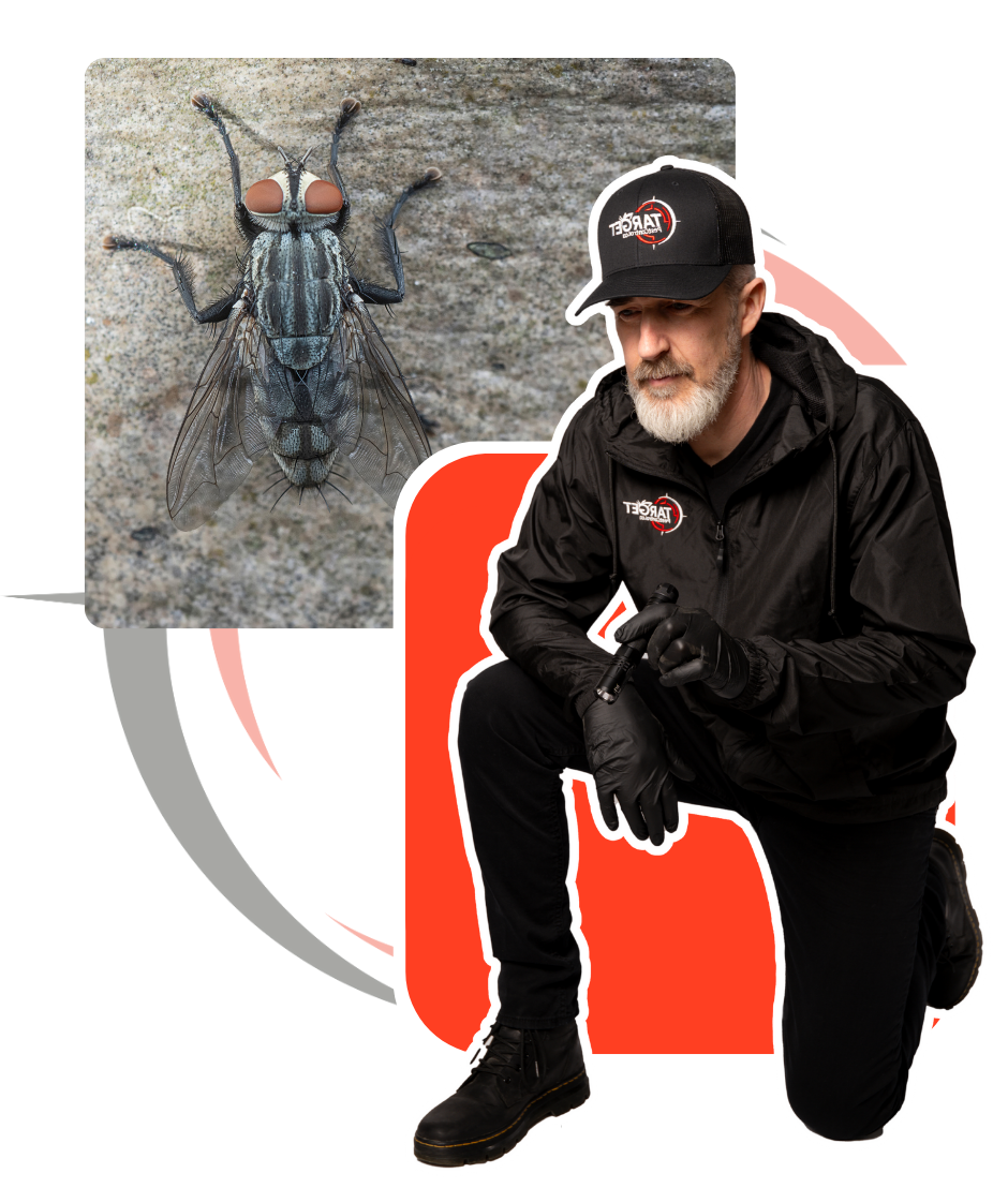 A man is kneeling next to a picture of a fly