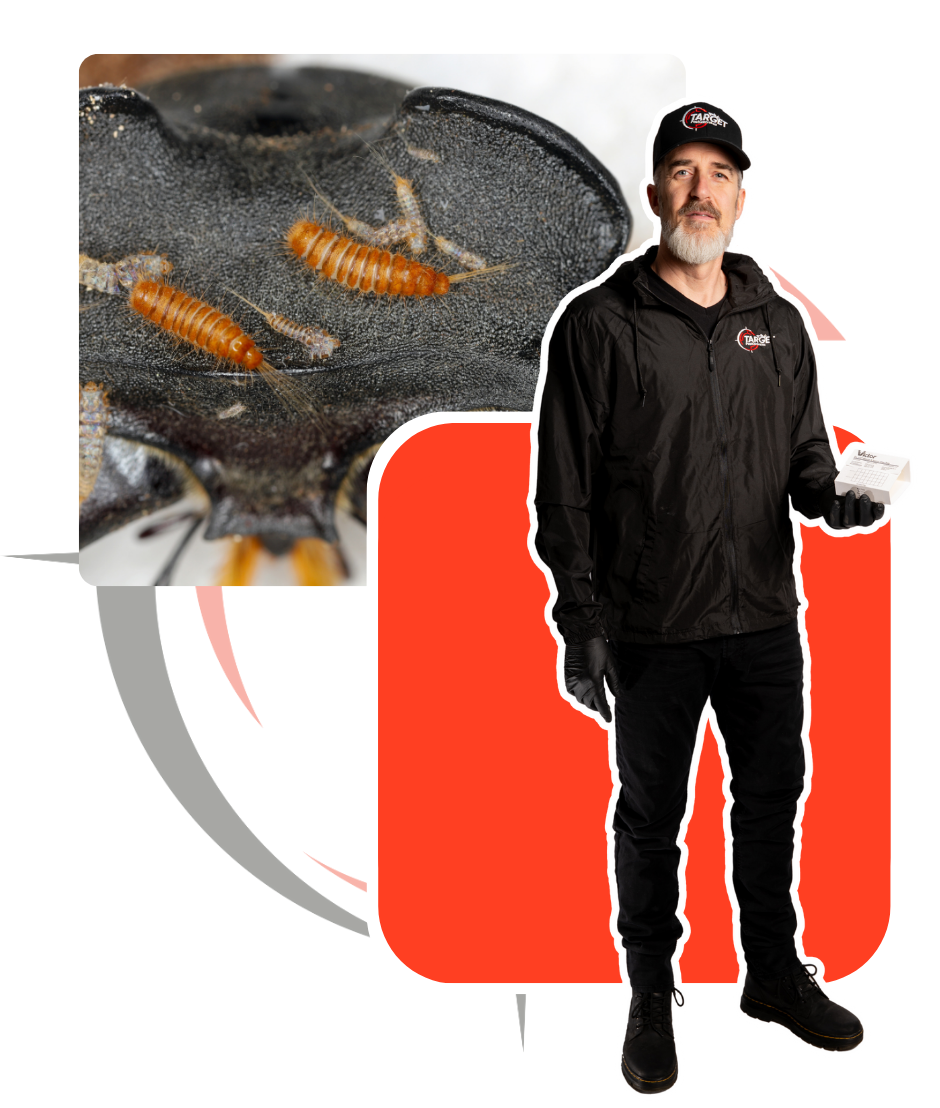 A man standing next to a picture of a bug holding a gluebaord