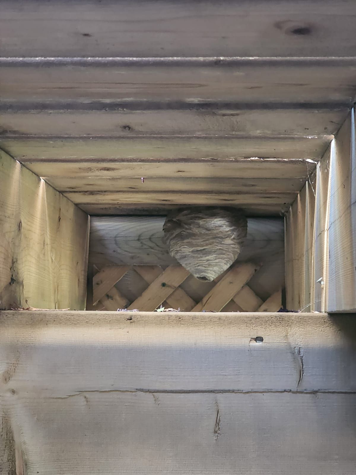 A wooden box with a beehive inside of it