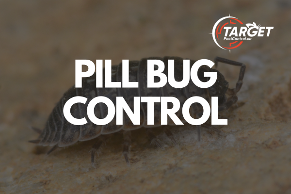 a picture of a pill bug with the words pill bug control above it