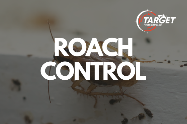 a picture of a cockroach with the words roach control above it