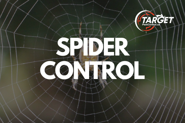 a spider is sitting on a web that says spider control