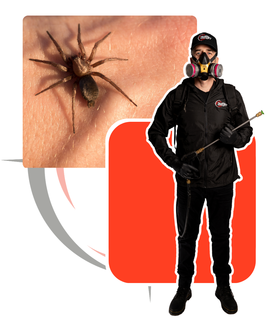 A man wearing a gas mask is spraying a spider on a person 's skin