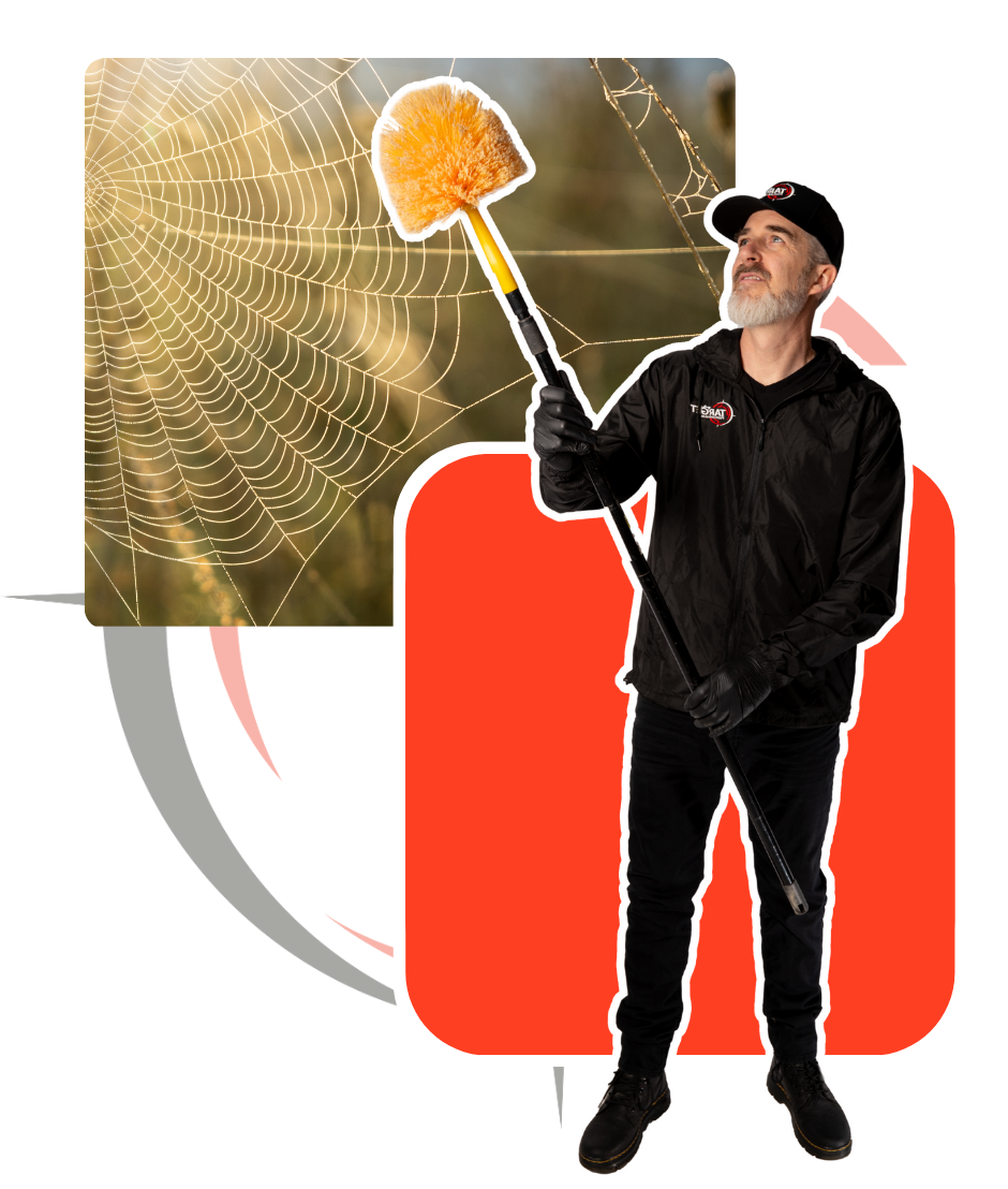 A man is holding a brush in front of a spider web