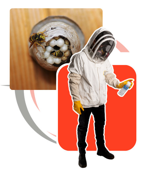 a man in a bee suit is spraying a wasp nest .